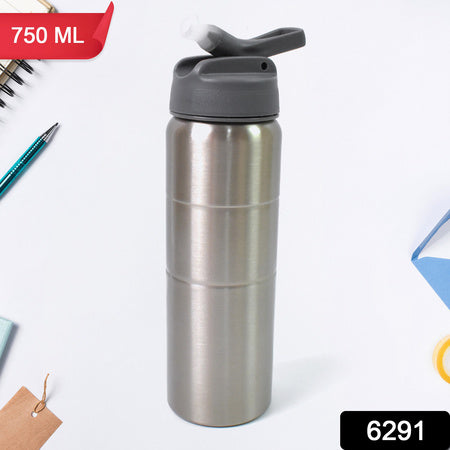 Steel Water Bottle Fridge Water Bottle With Straw (750ml)