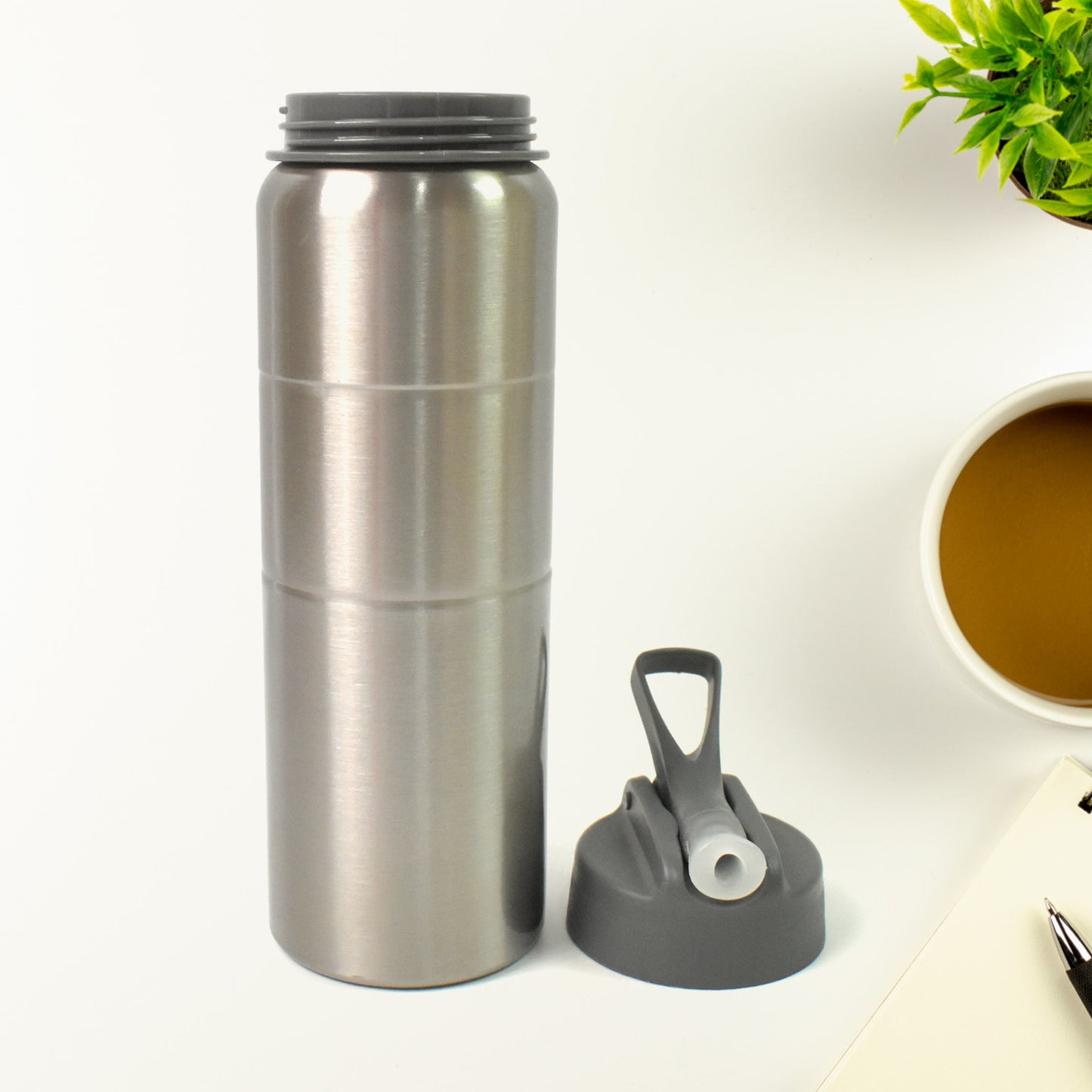 Steel Water Bottle Fridge Water Bottle With Straw (750ml)